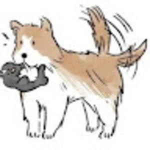 Meet your Posher, Siena